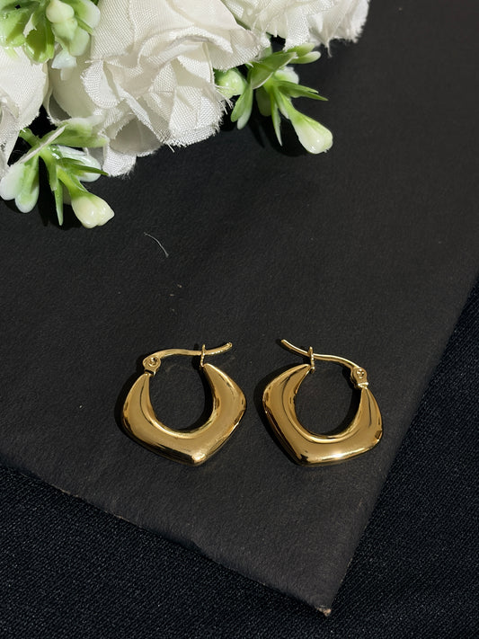 Anti Tarnish Daily Wear Earrings 006